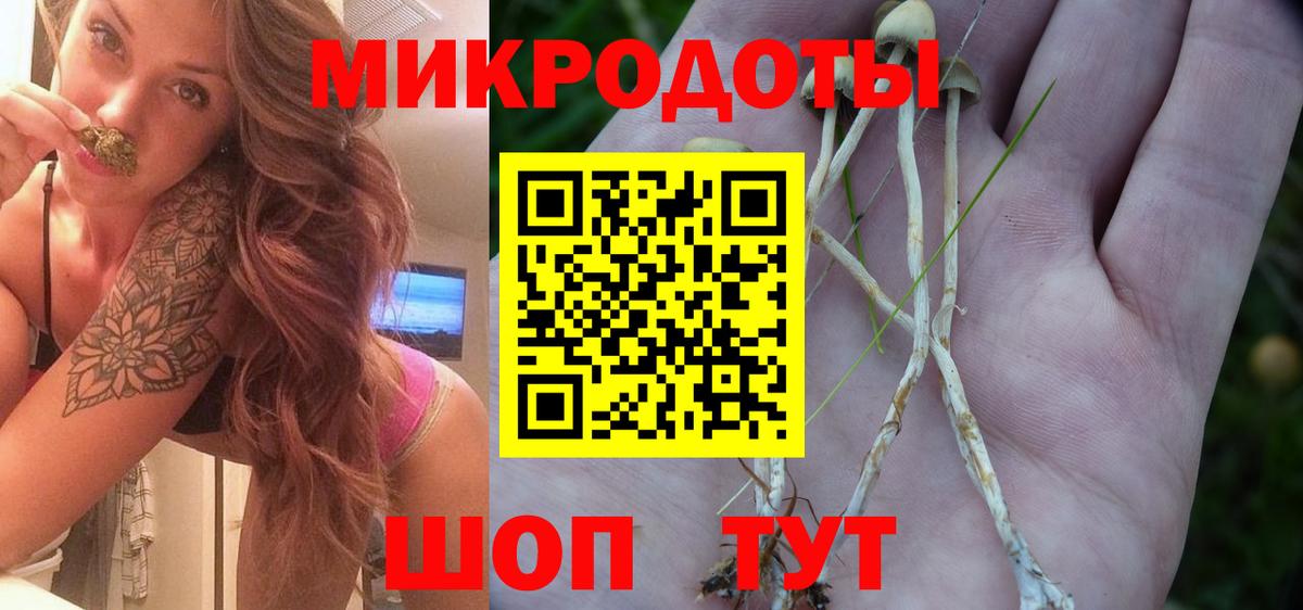 Вязьма  где купить наркоту  Вход с VPN  Псилоцибиновые грибы Psilocybine cubensis 