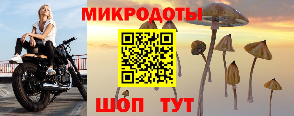 Галлюциногенные грибы Magic Shrooms Вязьма